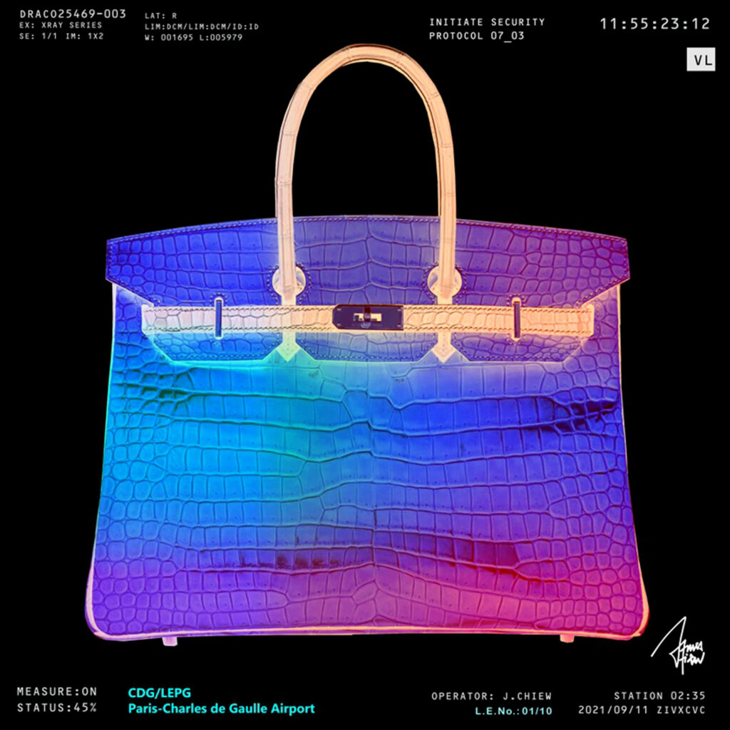 Hermes Bag X-ray - James Chiew