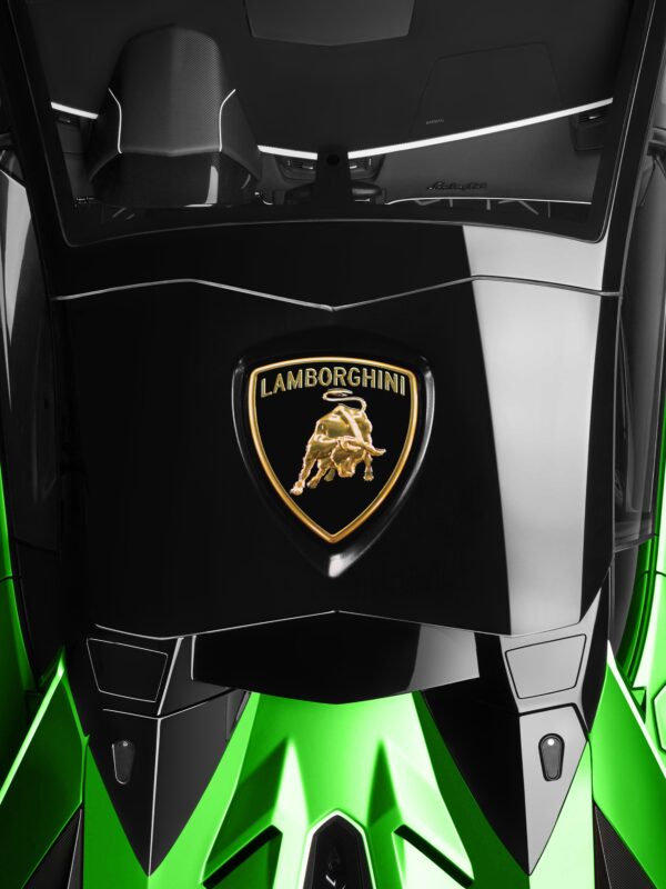 Lamborghini Aventador Surfboard - Image 2