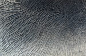 Ethernal Streams, 2025 Daniela Pasqualini