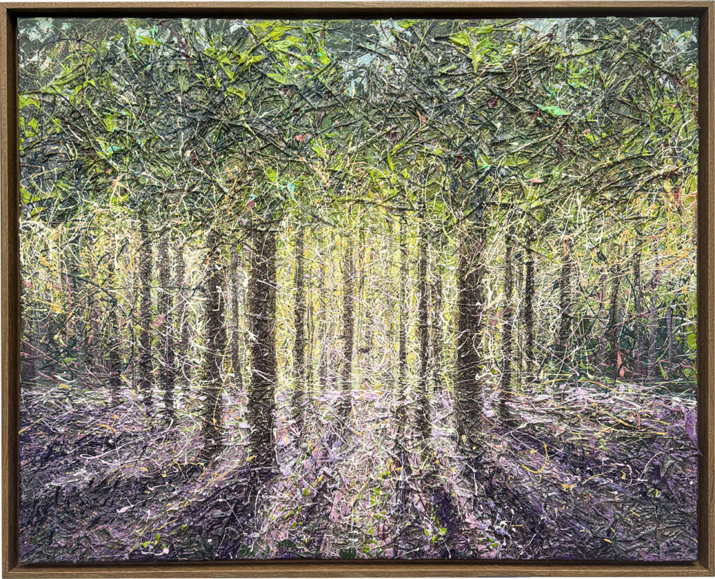 Belgian Forest, 2024 Nadin Antoniuk
