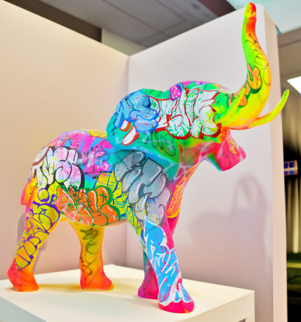 Wild elephant