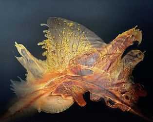 Golden magic
