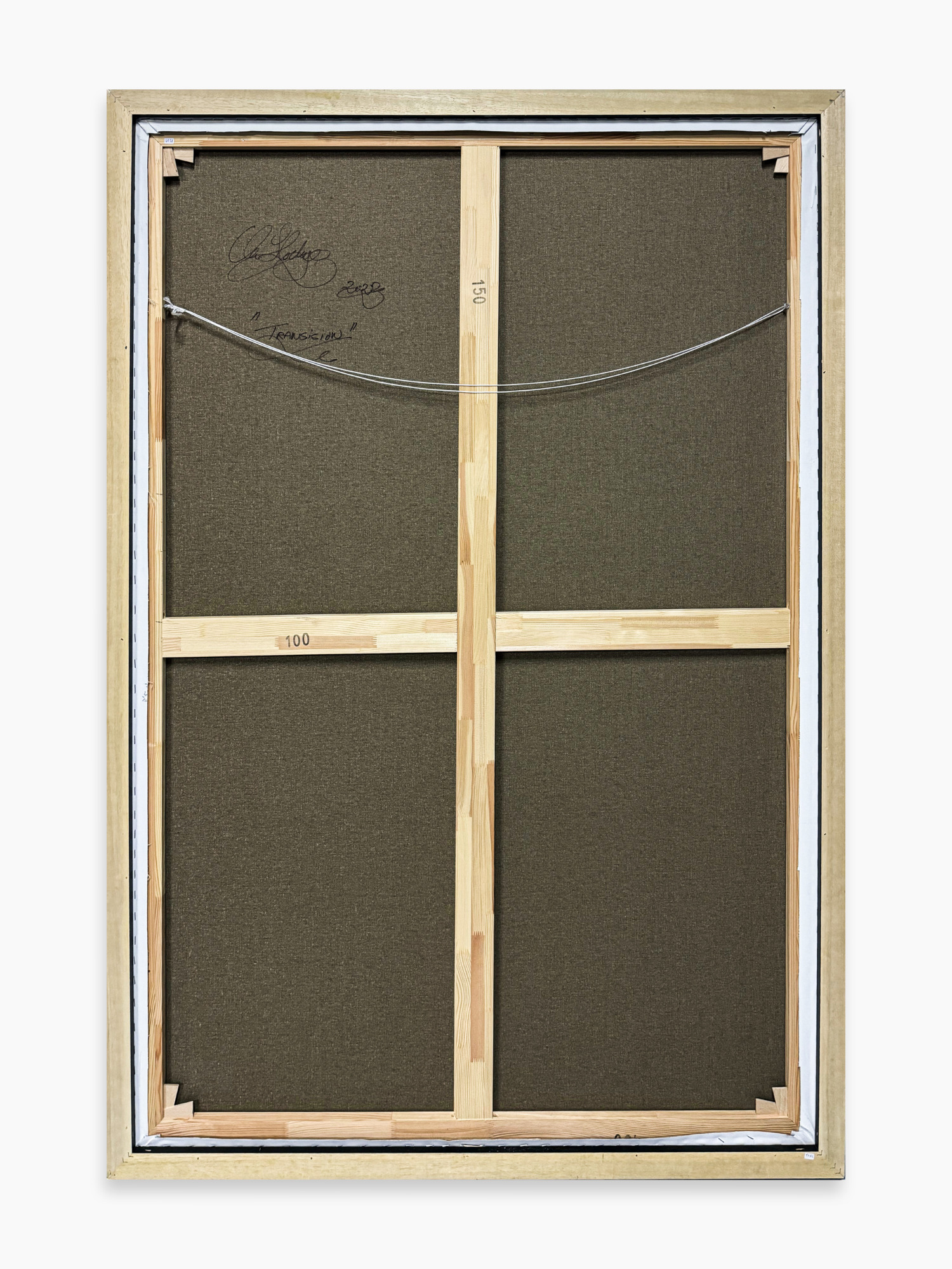 Transision - Image 5