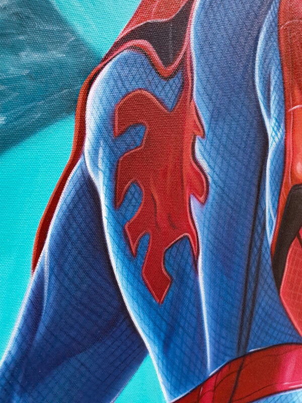 Spiderman The Times' Guardian - Image 5