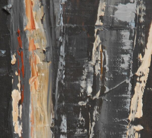 Forêt d'hiver - Image 8