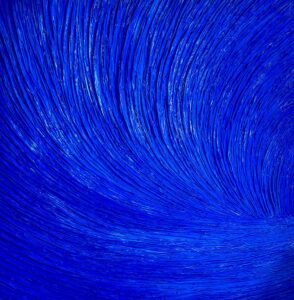 klein's Allure, 2024 Daniela Pasqualini