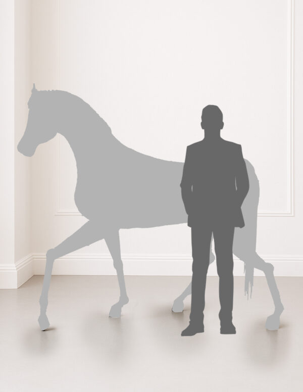 The Iron Horse | Le Cheval de Fer - Afbeelding 9