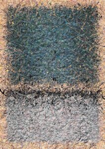 Pearls, 2024 Nadin Antoniuk