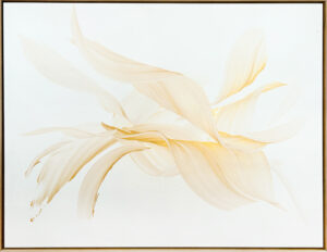 Golden Hues, 2024 Nikolaos Schizas