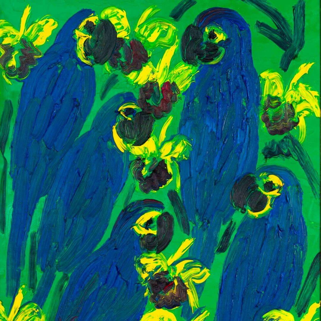 Hyacinths Catelayas – Image 2