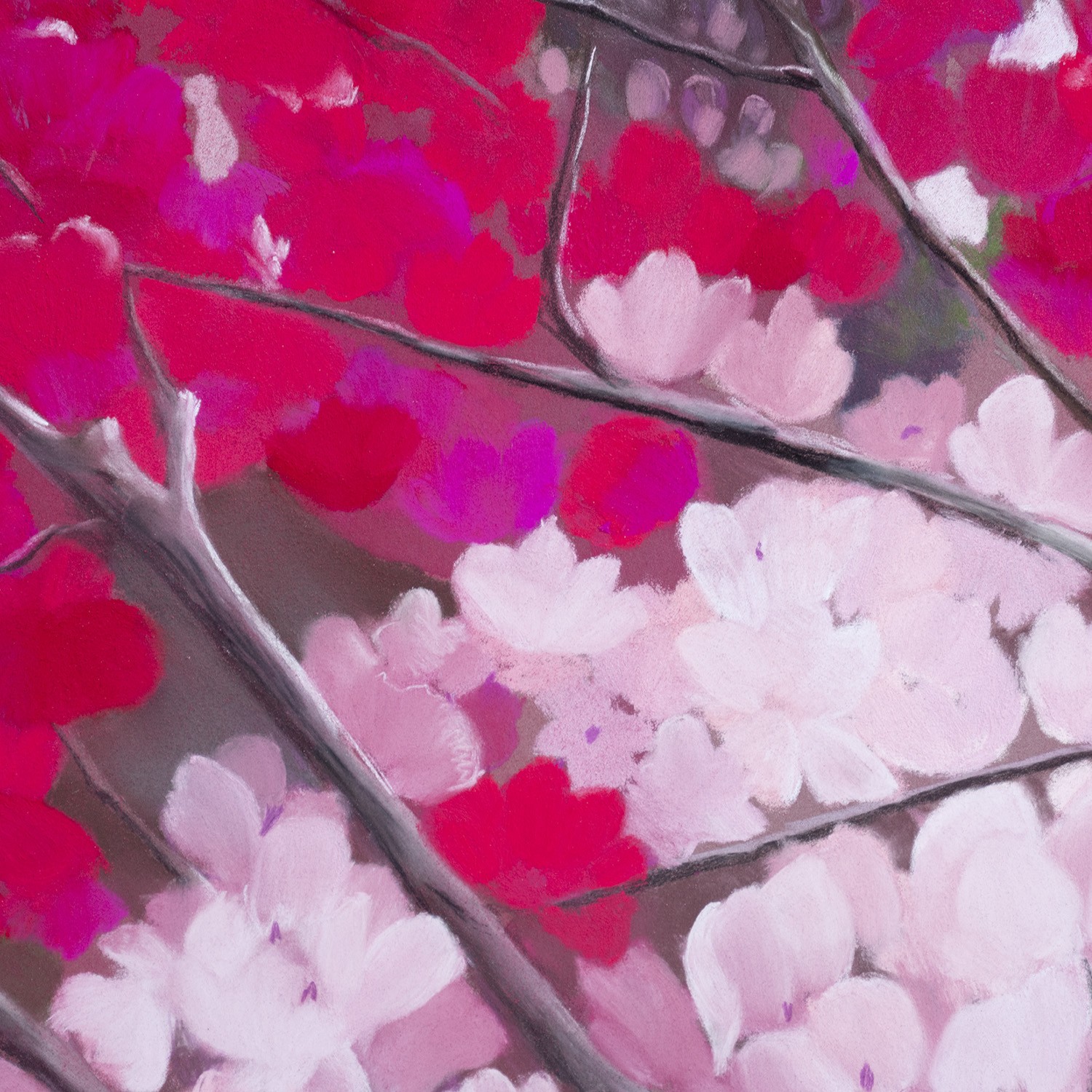 Le cerisier Japonais by Agnès Tiollier