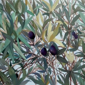 Au coeur de l'olivier by Agnès Tiollier