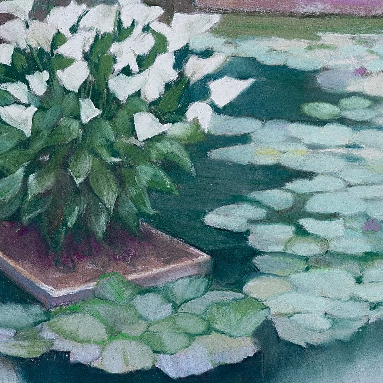 Lumière du matin VII Agnès Tiollier