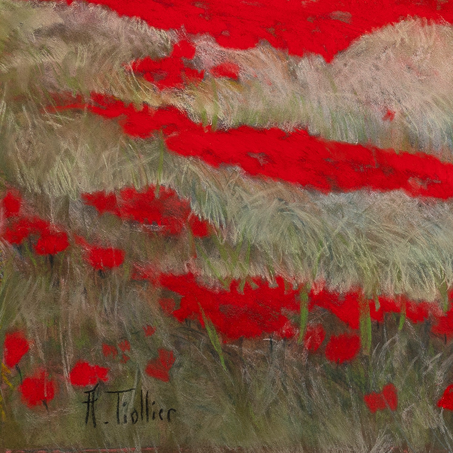 Coquelicots Agnès Tiollier