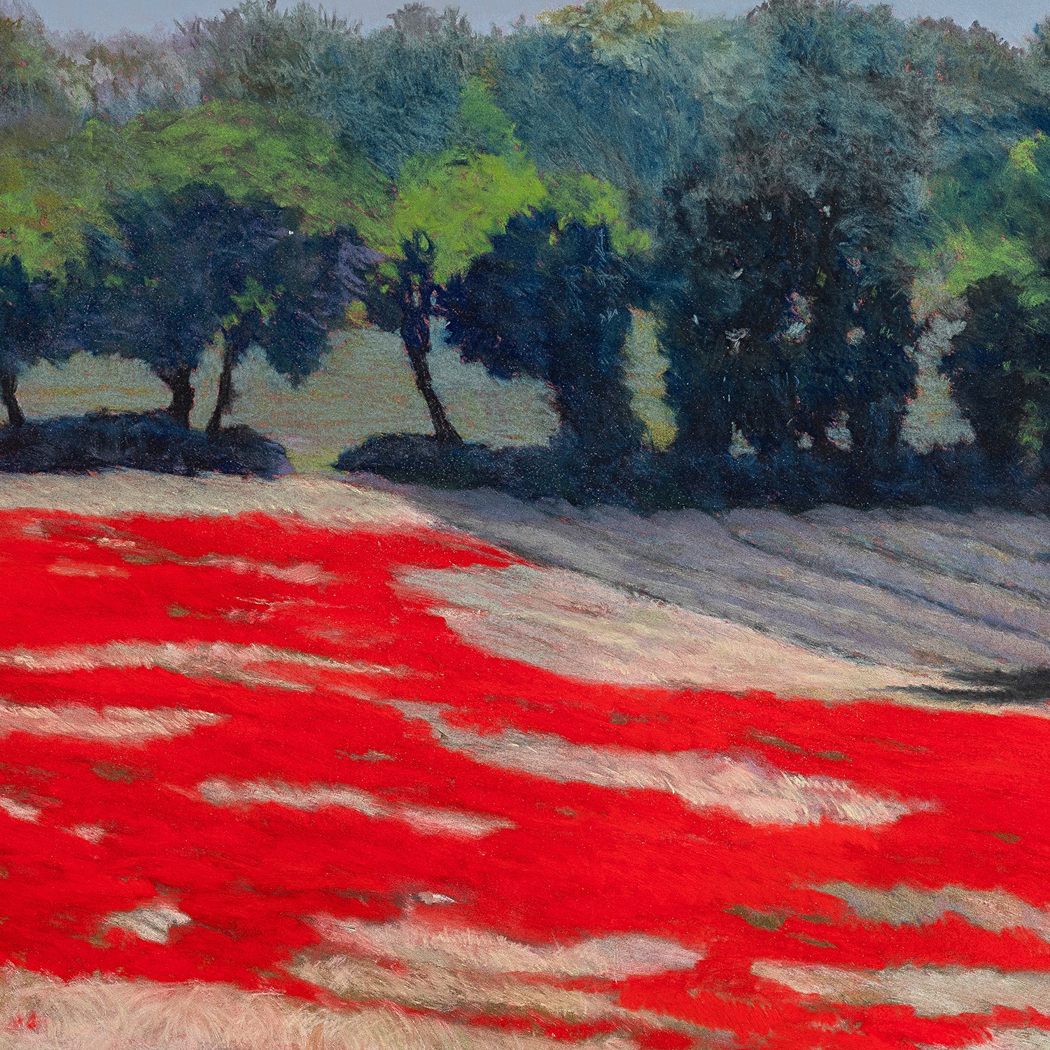 Coquelicots Agnès Tiollier