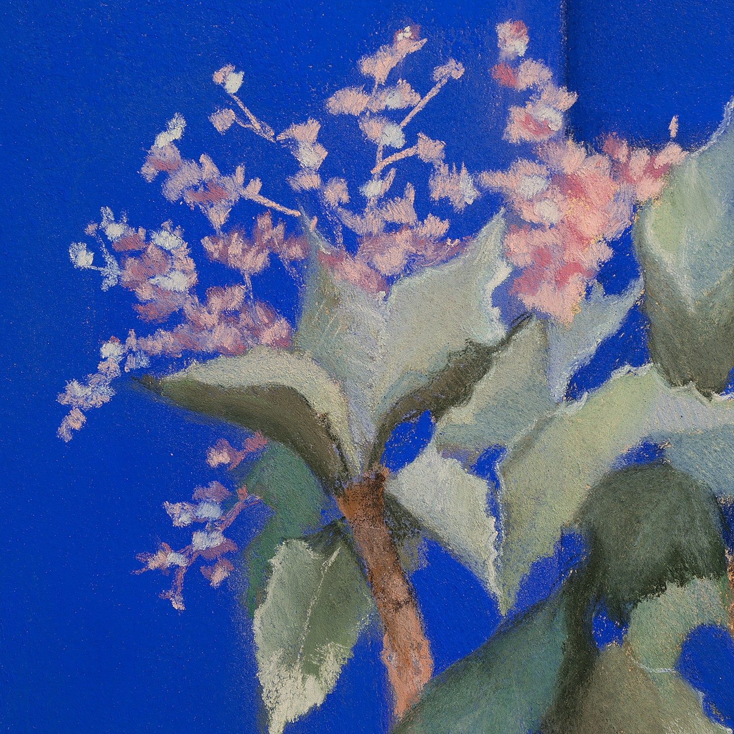 Couleur Majorelle III Agnès Tiollier