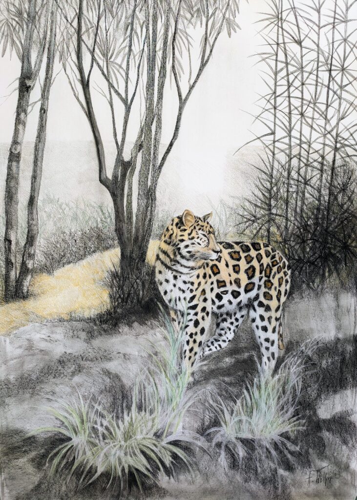 La rencontre Agnès Tiollier