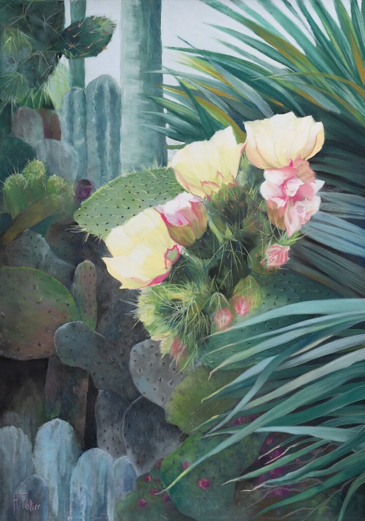 Fleur de cactus by Agnès Tiollier