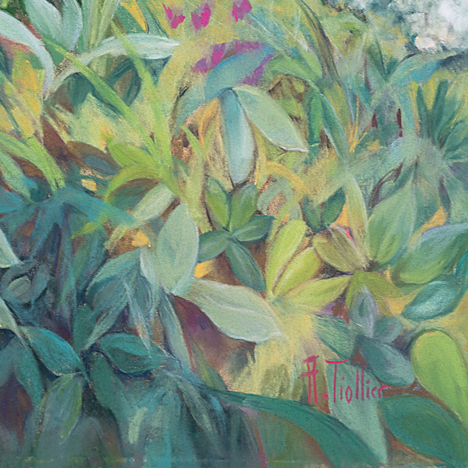 Jardin méditerranéen by Agnès Tiollier