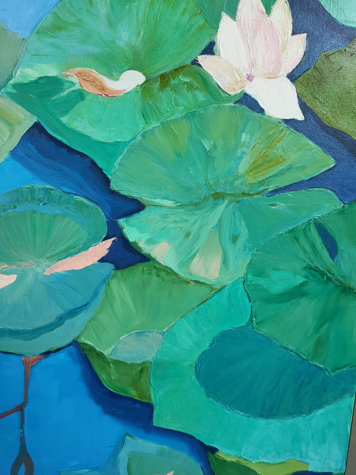 Lumière du soir II - Image 6