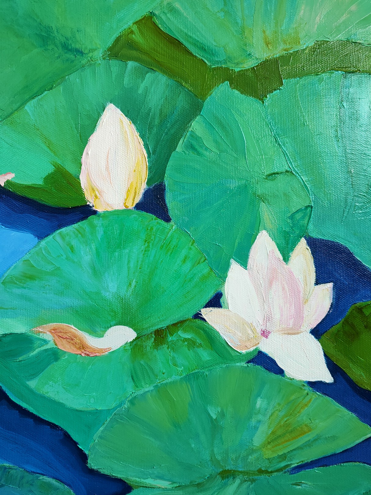 Lumière du soir II - Image 7