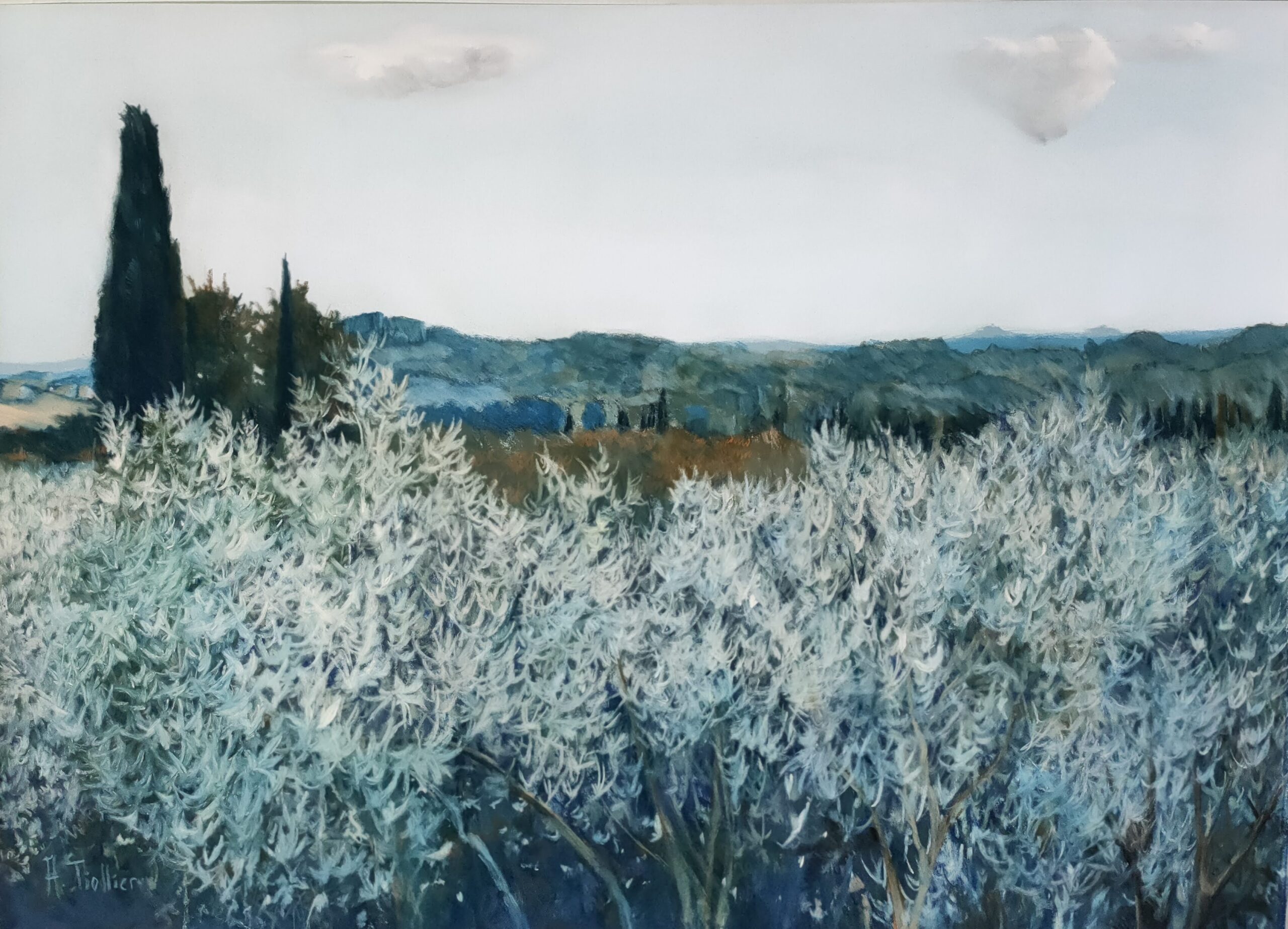 Alpilles by Agnès Tiollier