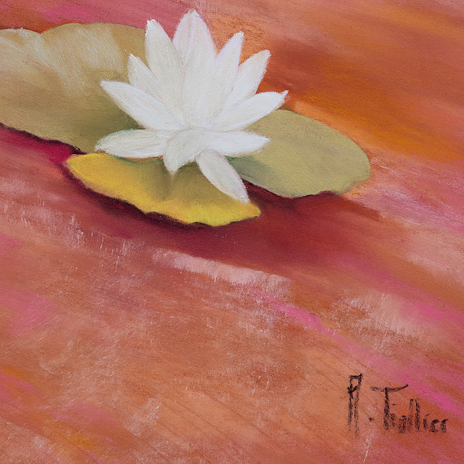 Lumière fauve II - Image 2