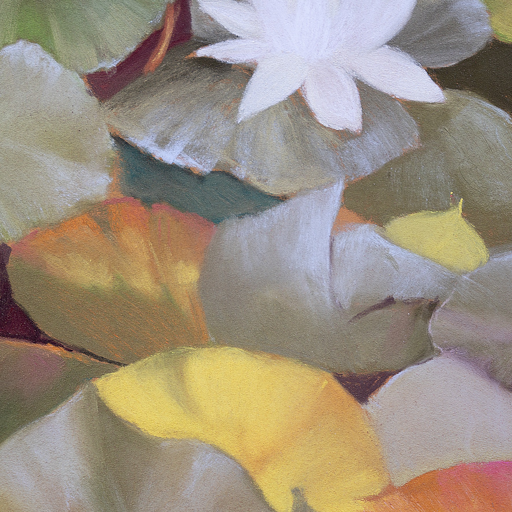 Lumière fauve II - Image 3