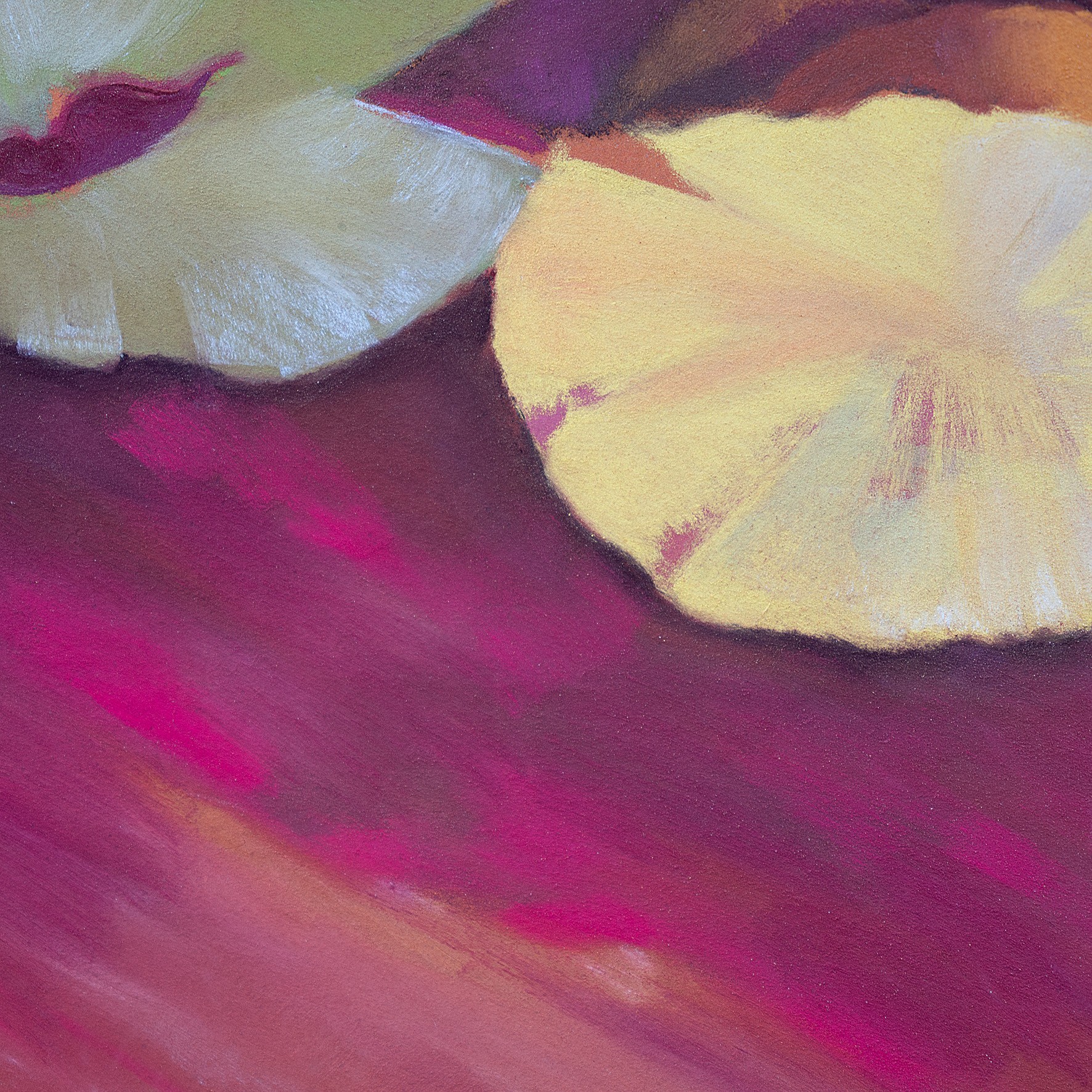 Lumière fauve II - Image 5