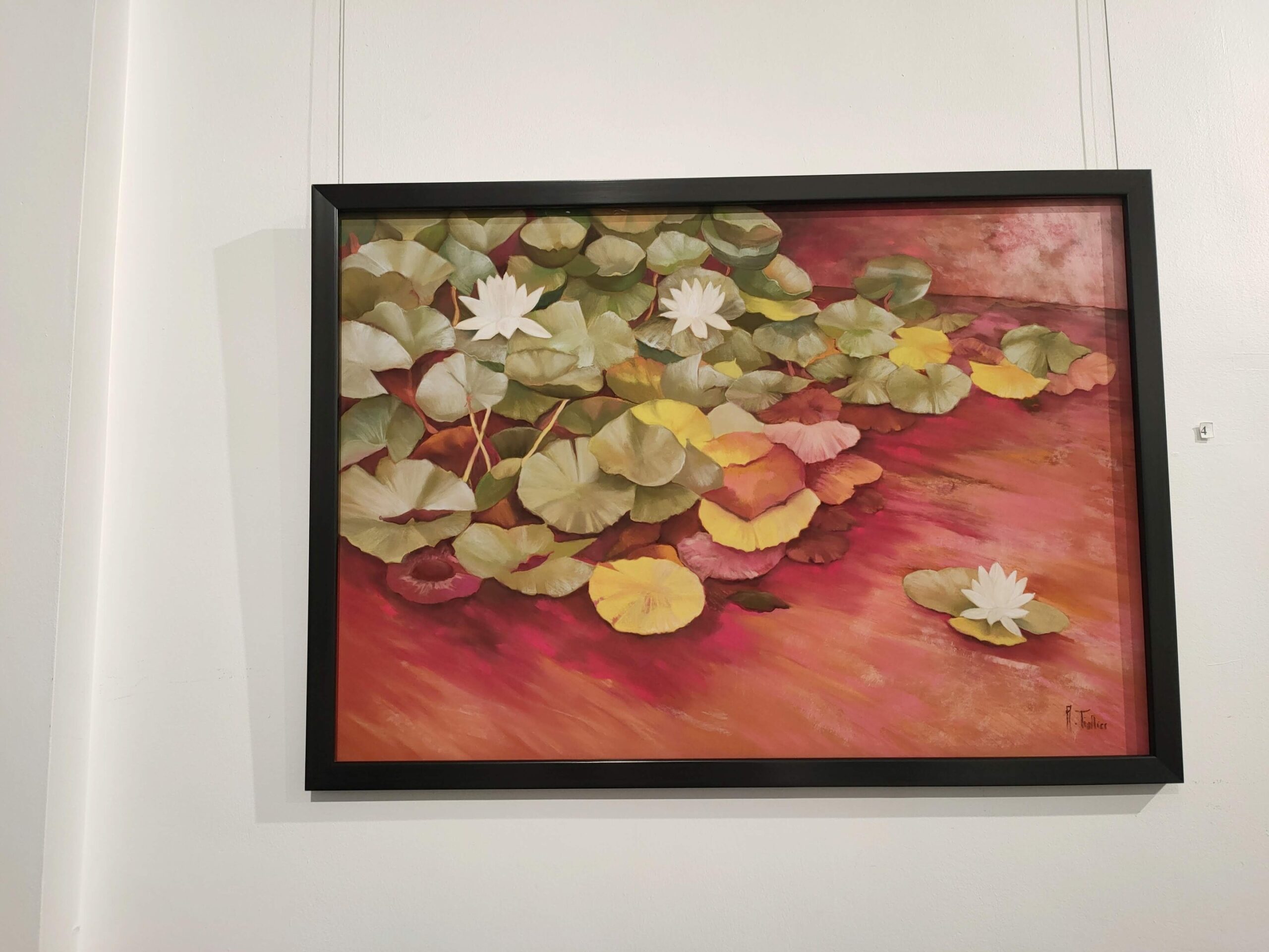 Lumière fauve II - Image 6