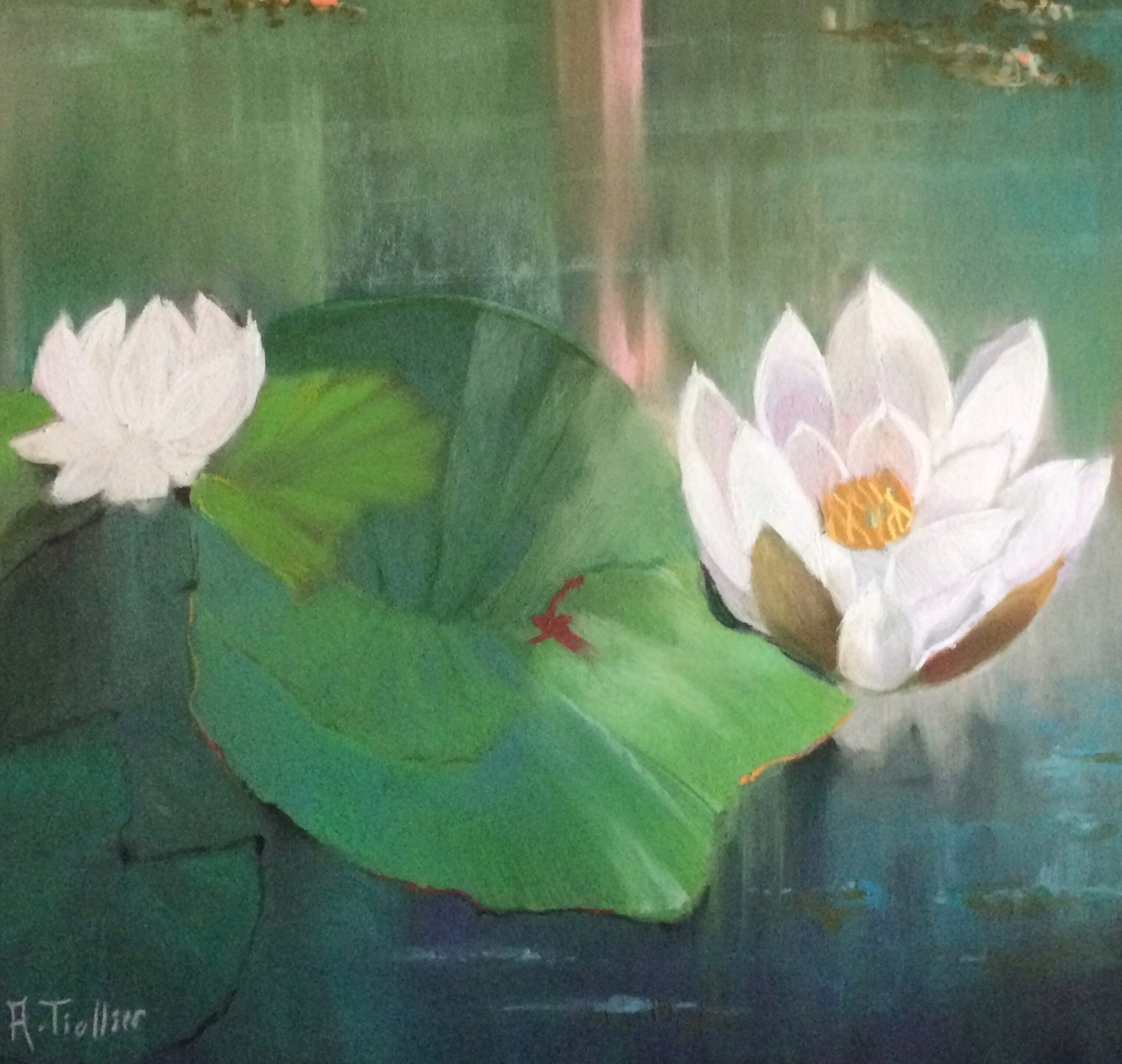 Fleur de Lotus - Image 2