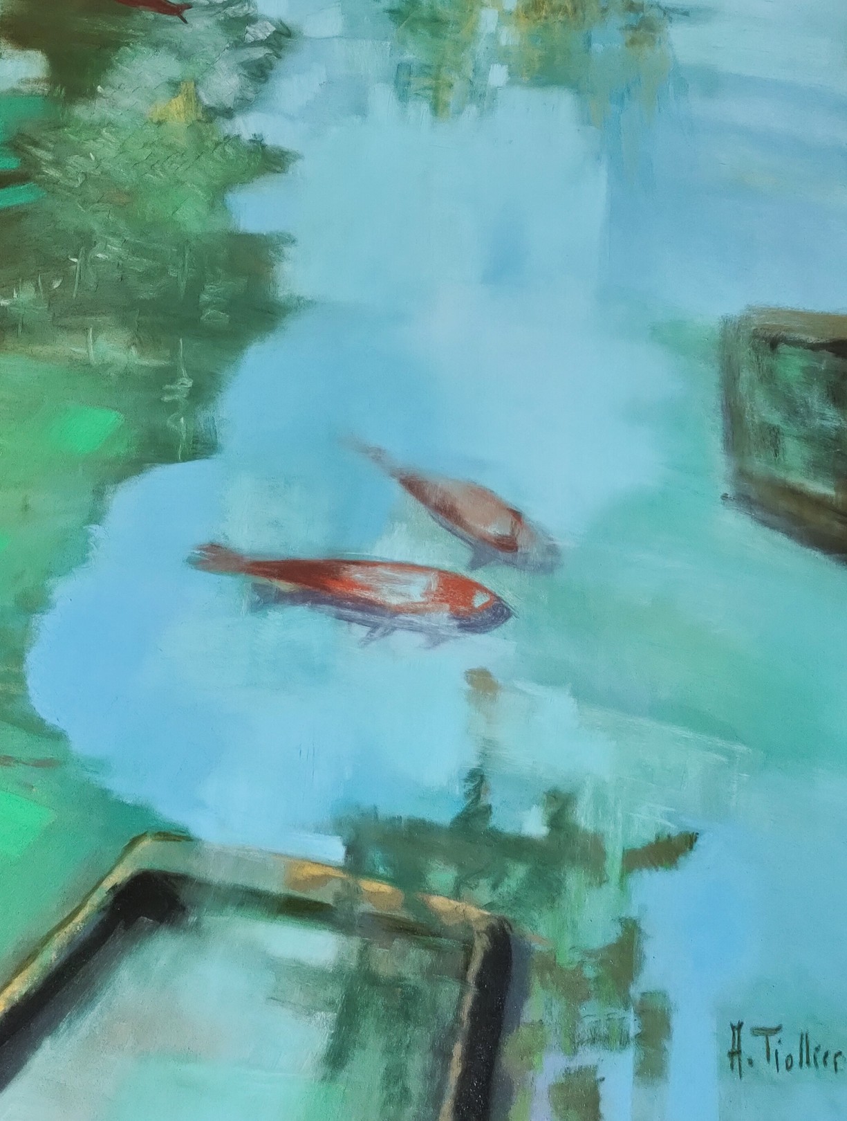 Bassin du parc II - Image 2