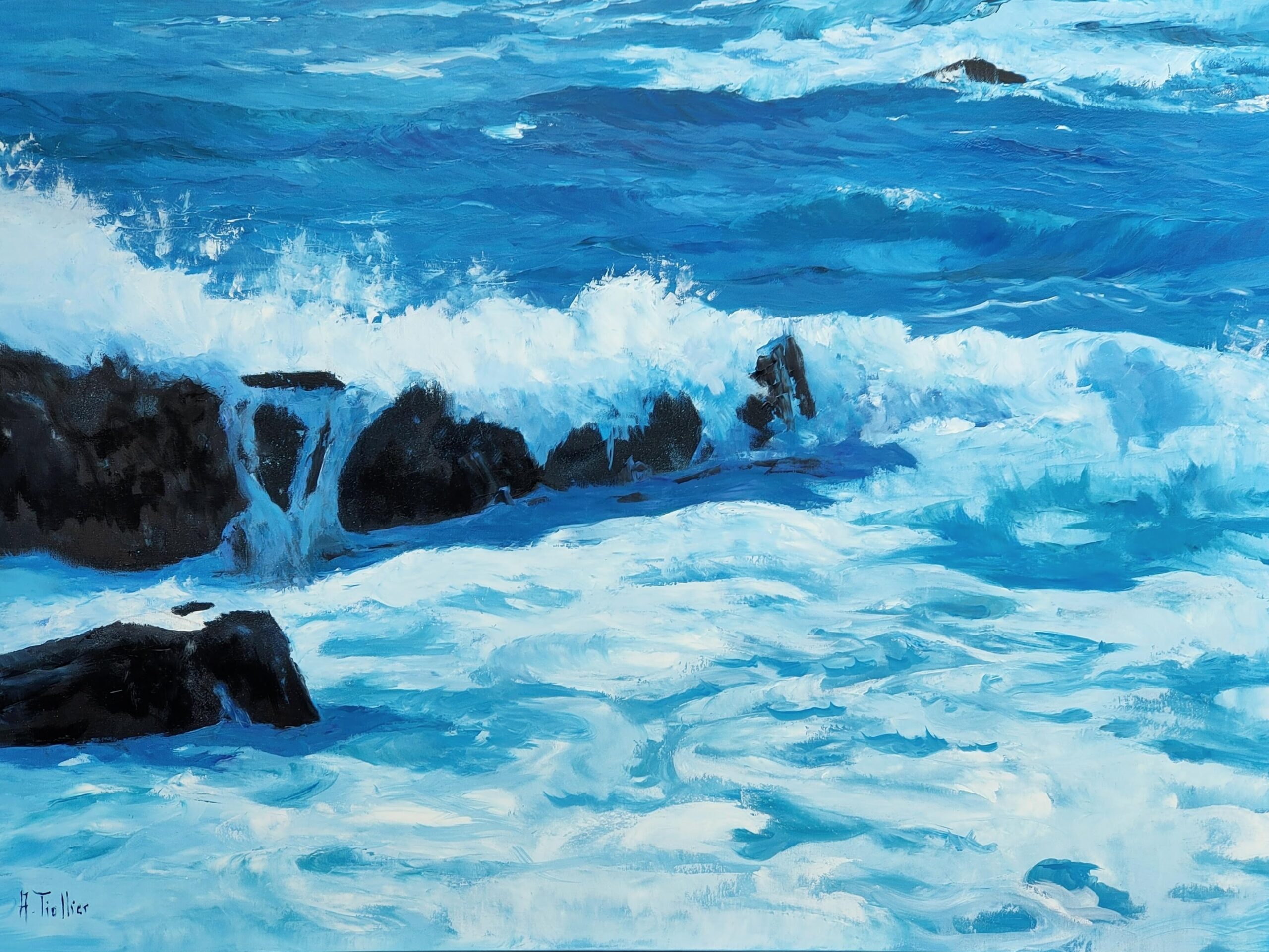 Fracas by Agnès Tiollier