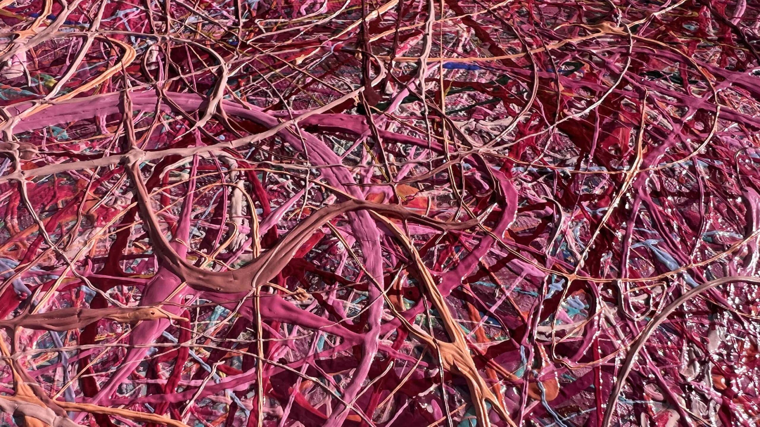 A Better Place of Dreams - Image 2