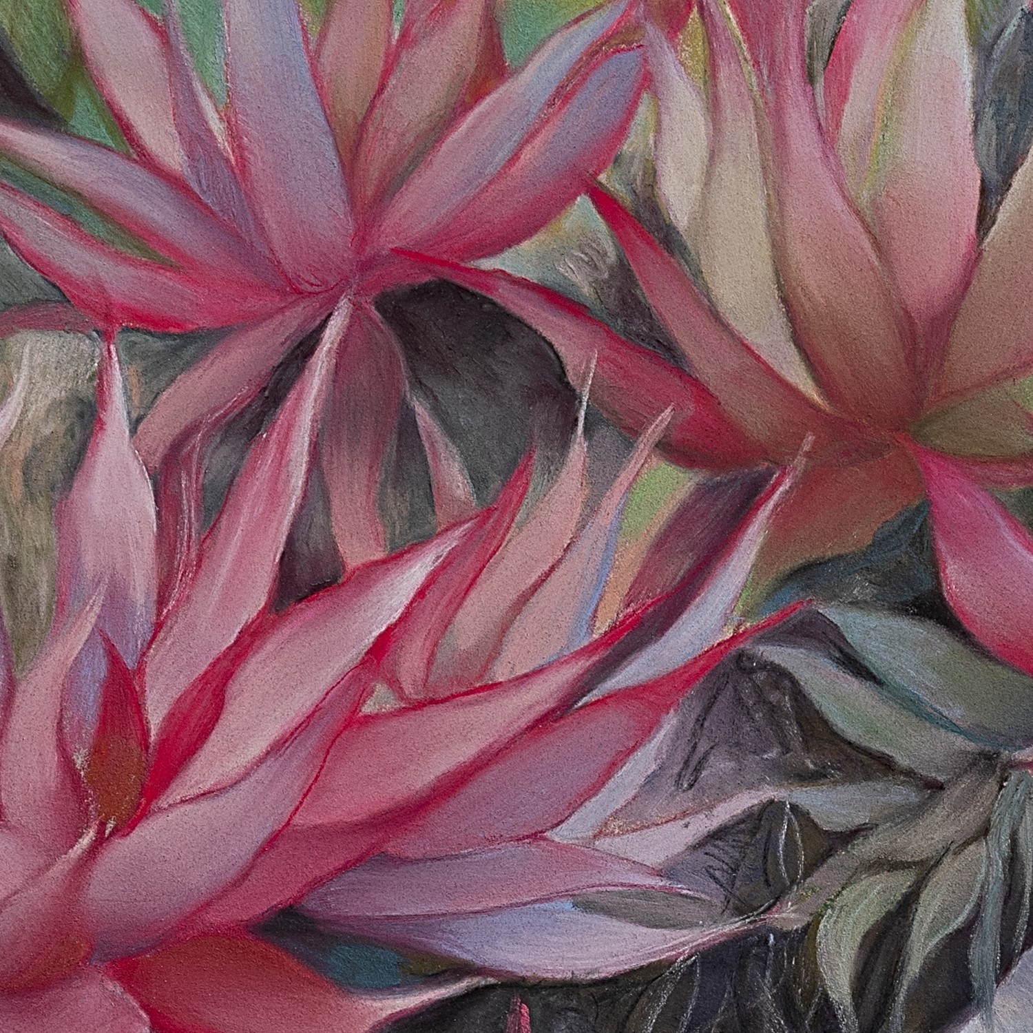 Jardin méditerranéen II - Image 2