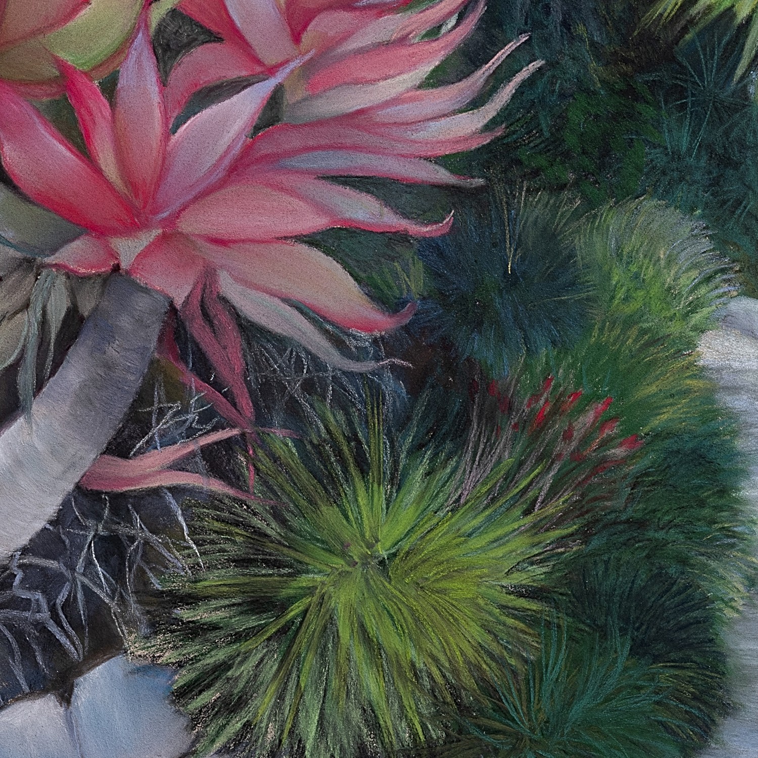 Jardin méditerranéen II - Image 4